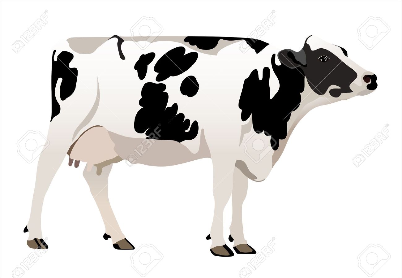 cow clipart vector free - photo #34