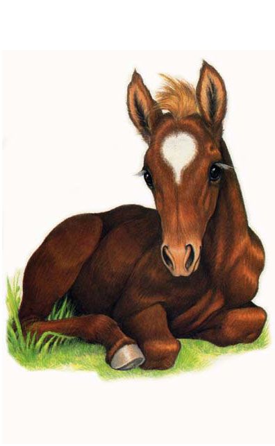 Chestnut horse clipart - Clipground