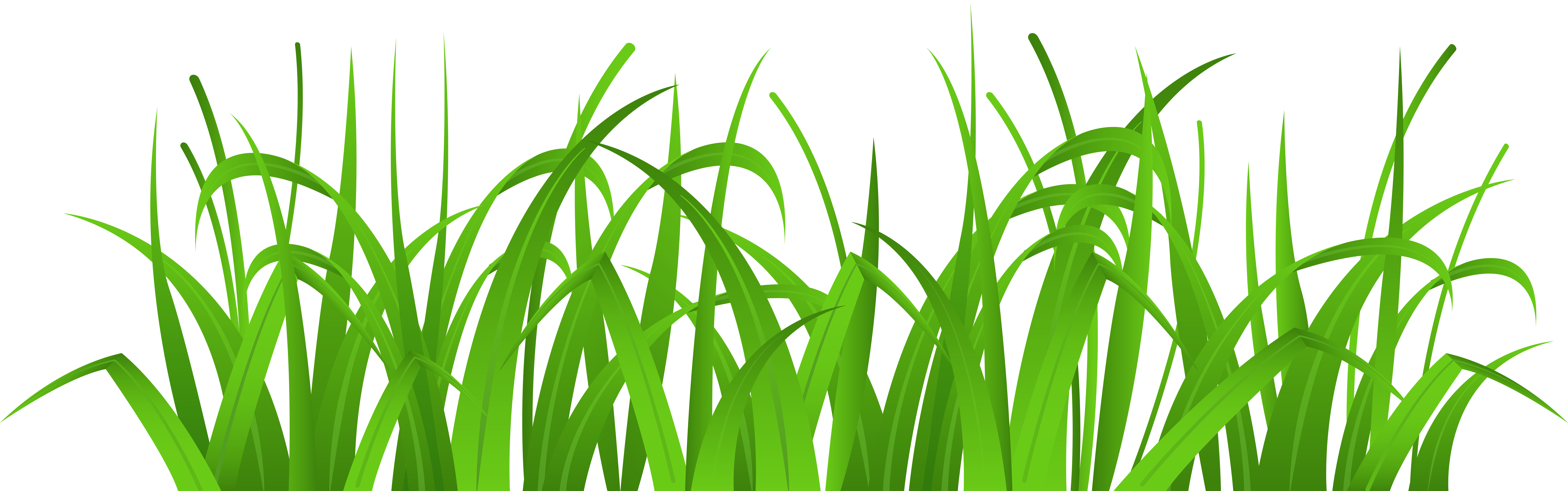 free grass pictures clip art - photo #46