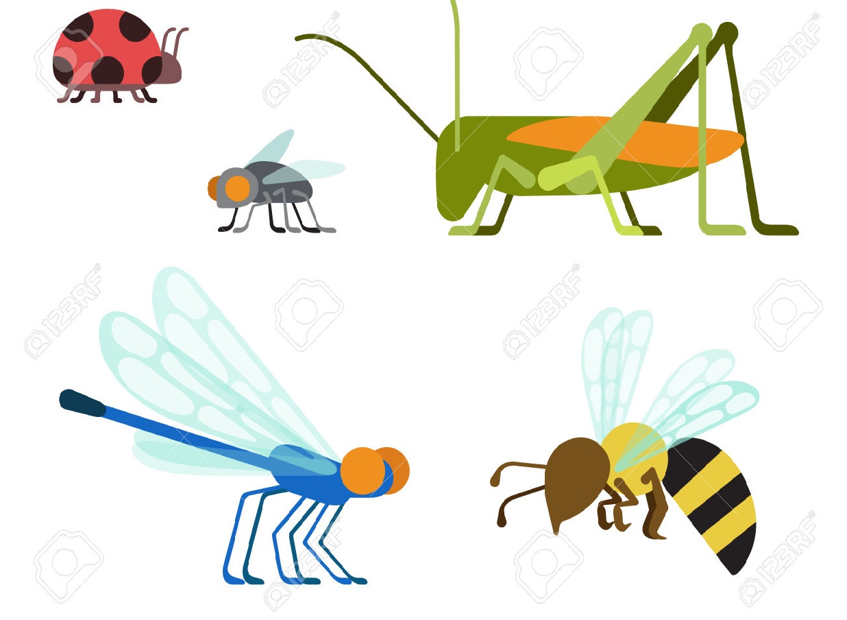 zoologist clipart - photo #24