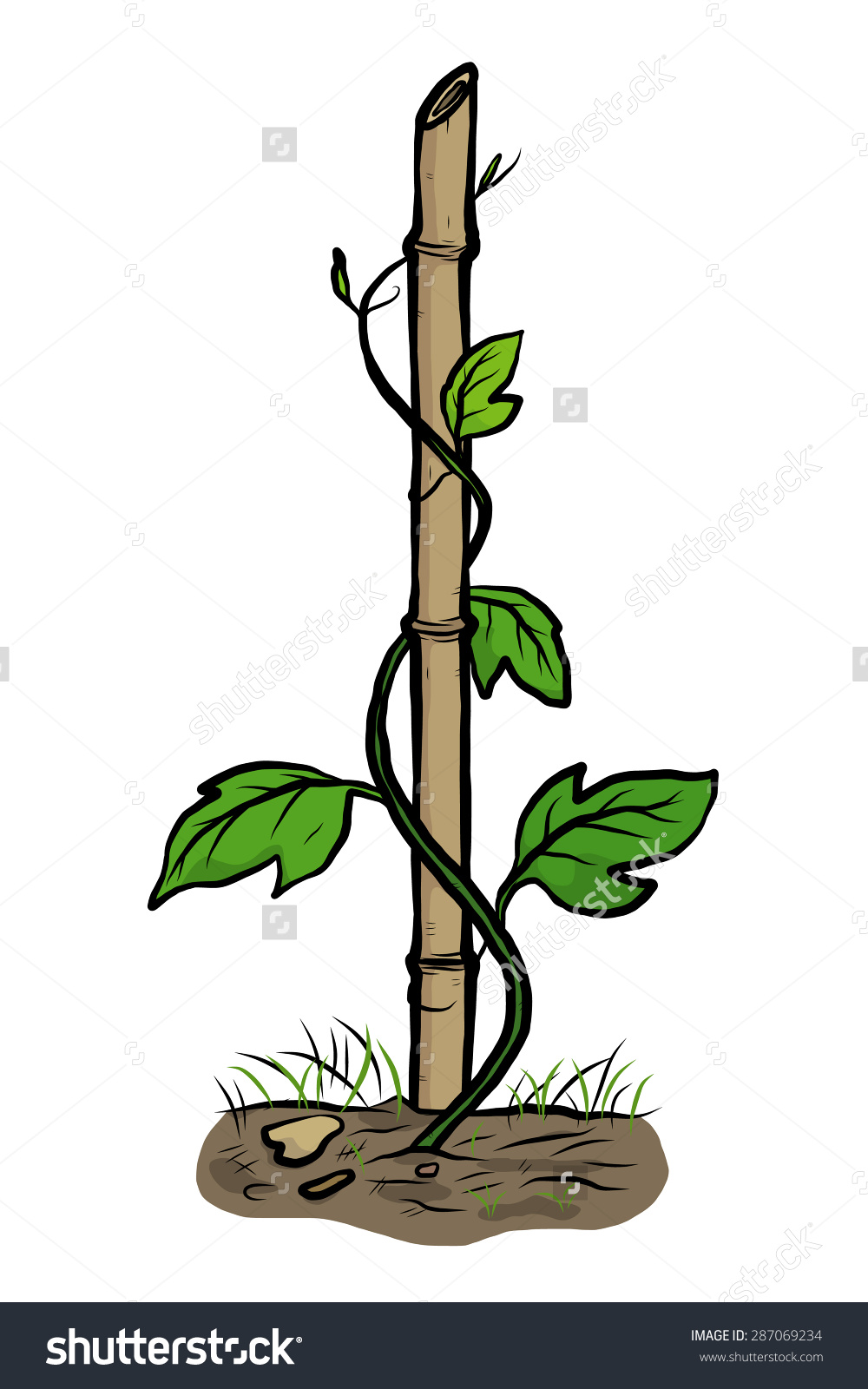 Climbing plants clipart - Clipground
