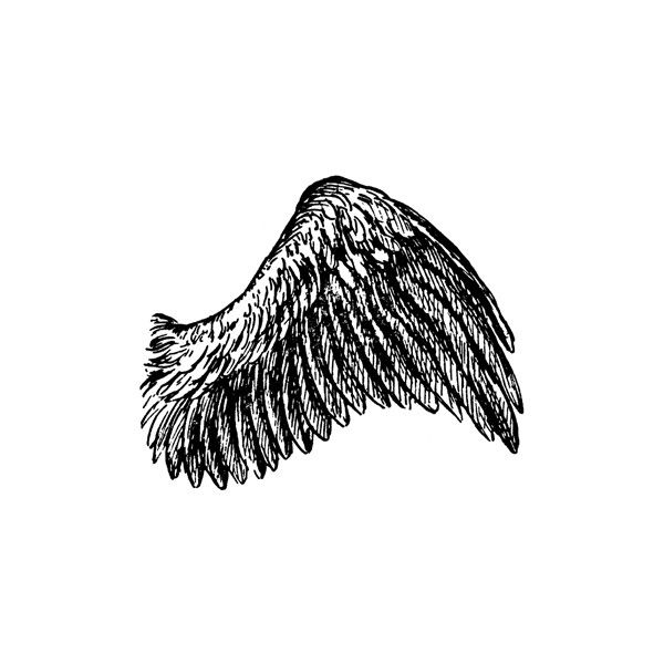 clipart bird wings - Clipground