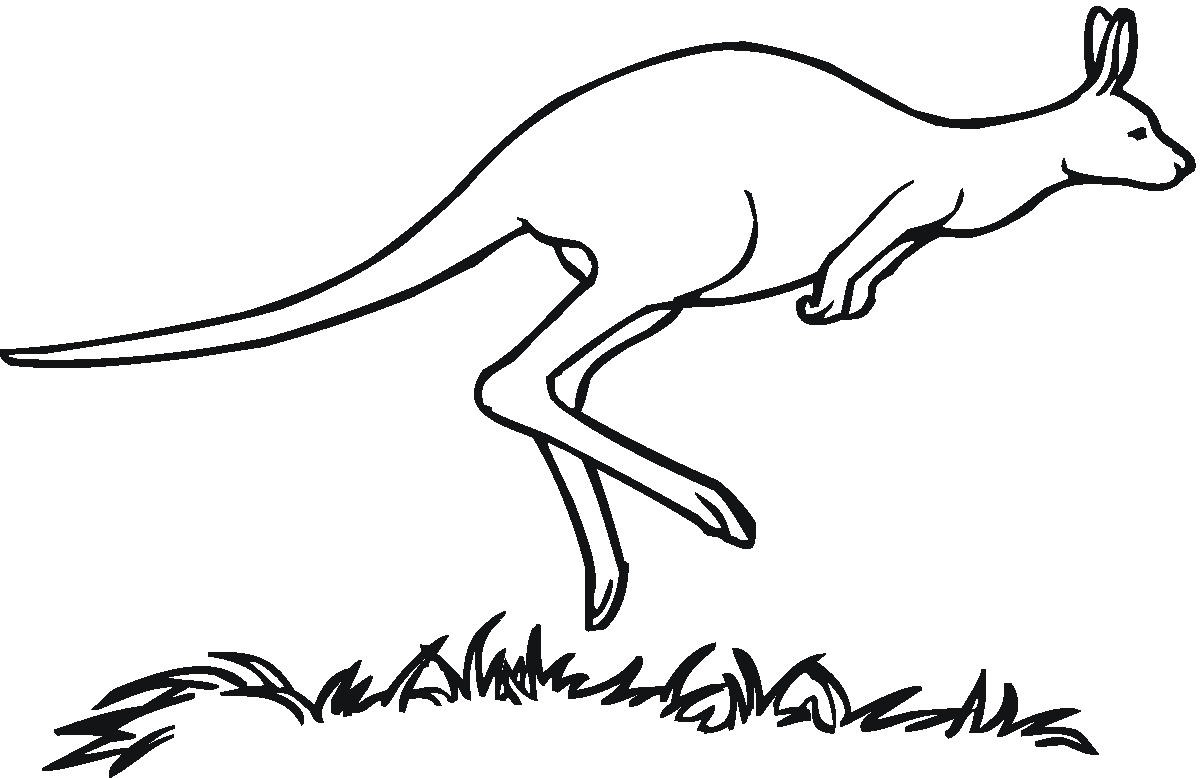 Clipart Black And White Kangaroo Clipground