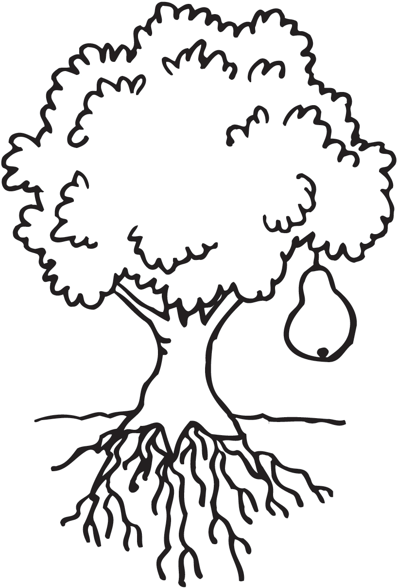 Clipart Coloring Tree Clipground