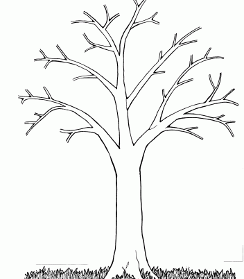 clipart coloring tree 20 free Cliparts | Download images on Clipground 2019