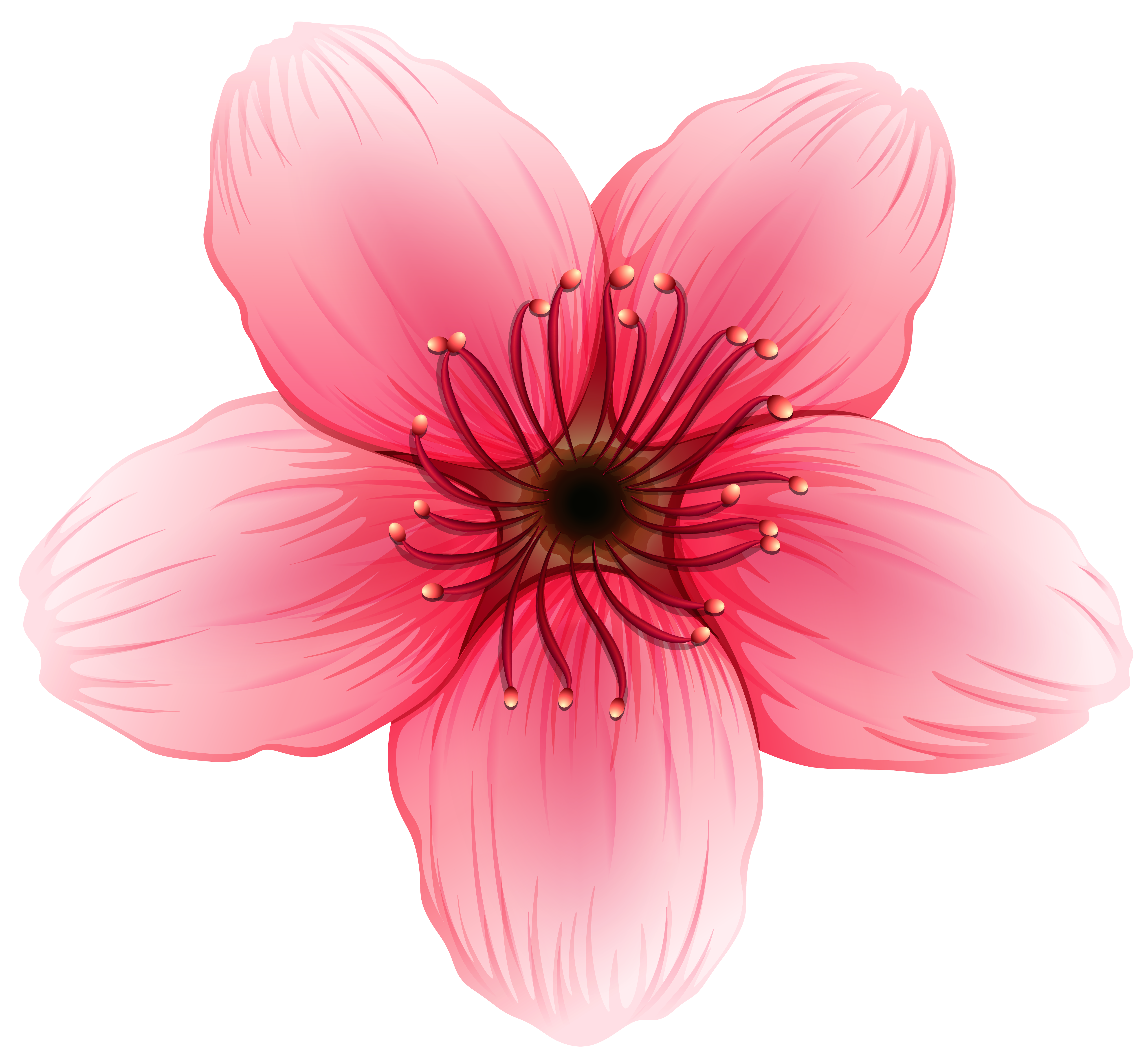 clipart flower png - Clipground