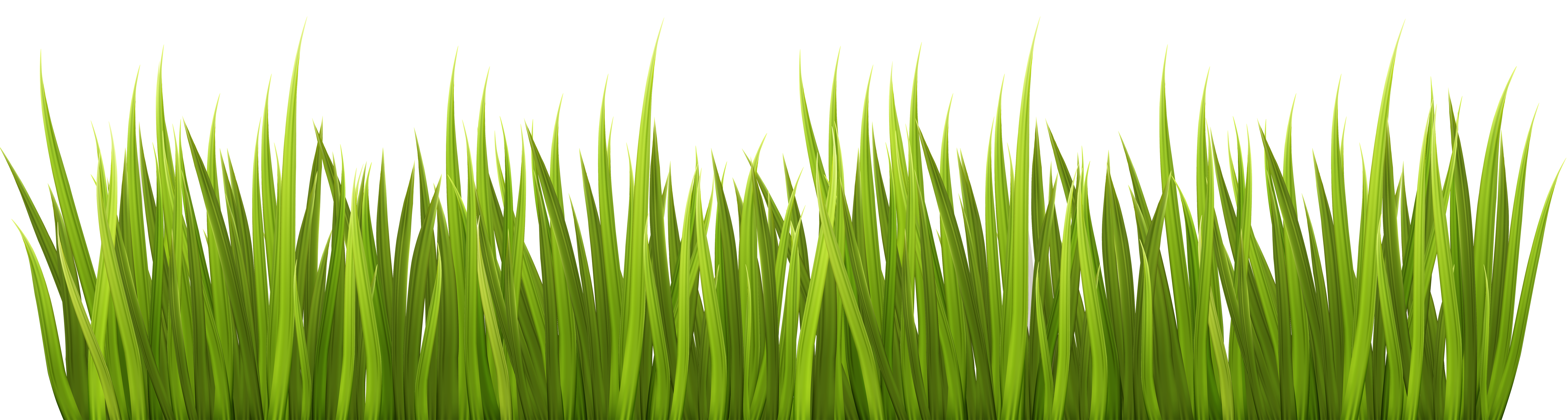 free grass pictures clip art - photo #24