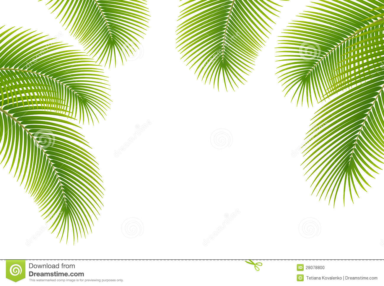 clipart palm tree borders - photo #17
