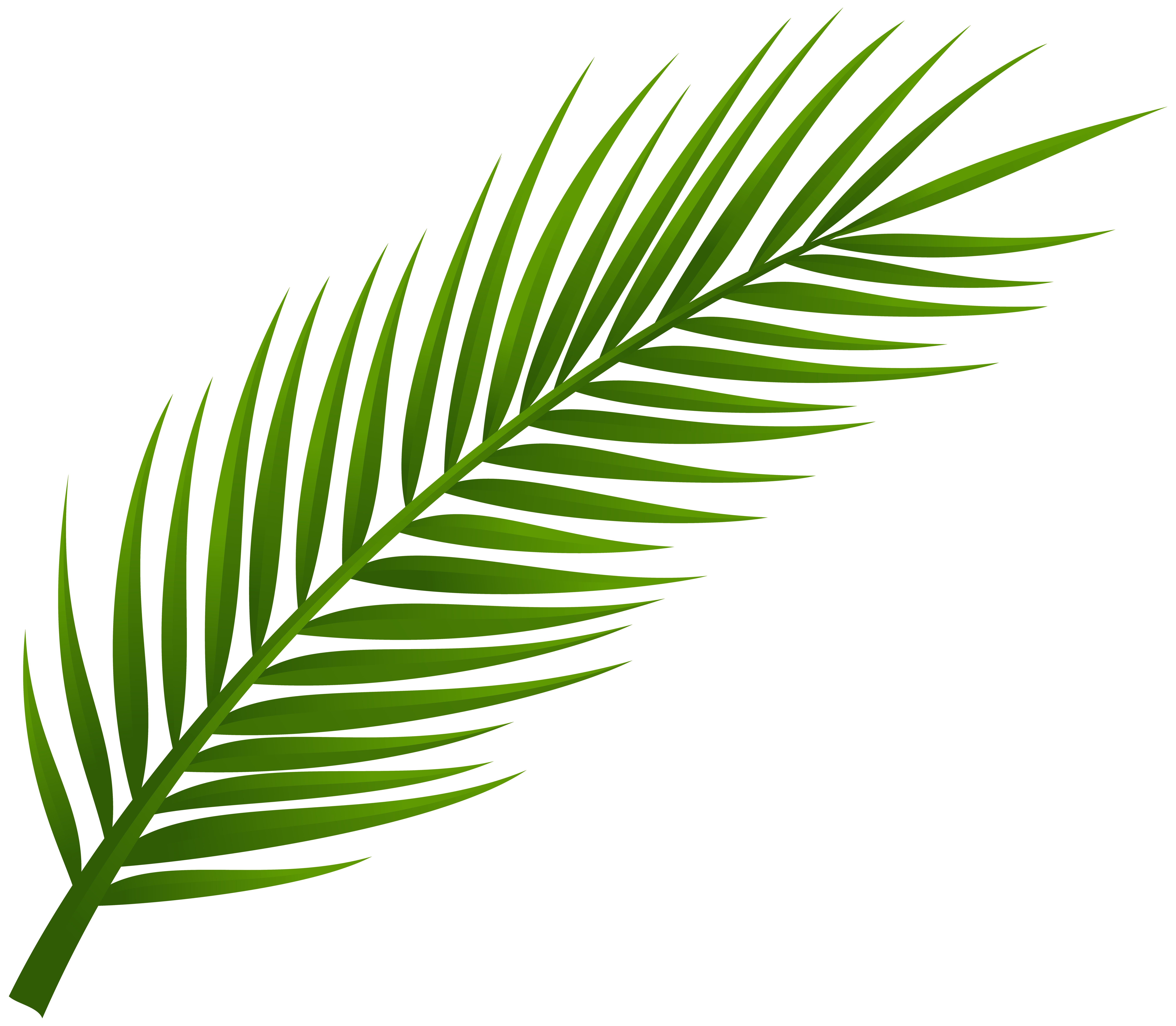 Palm branch clipart Clipground