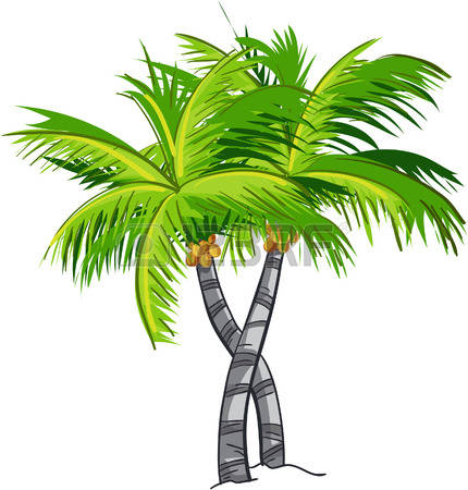 clip art coconut tree - photo #42