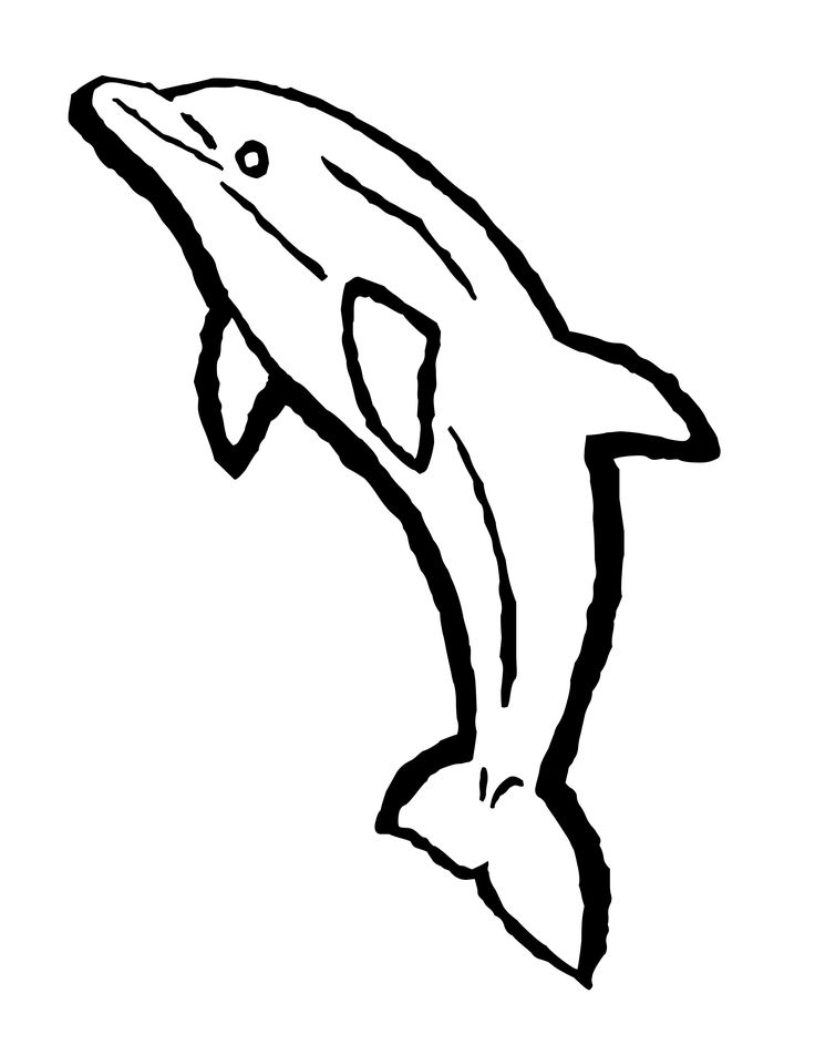 color dolphin clipart - Clipground