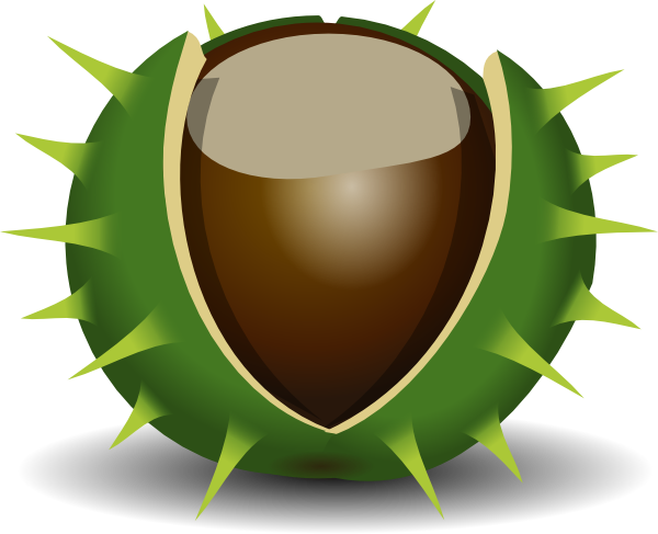 Conker clipart - Clipground