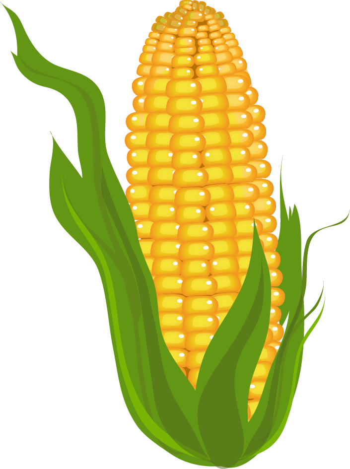 Corn clipart - Clipground