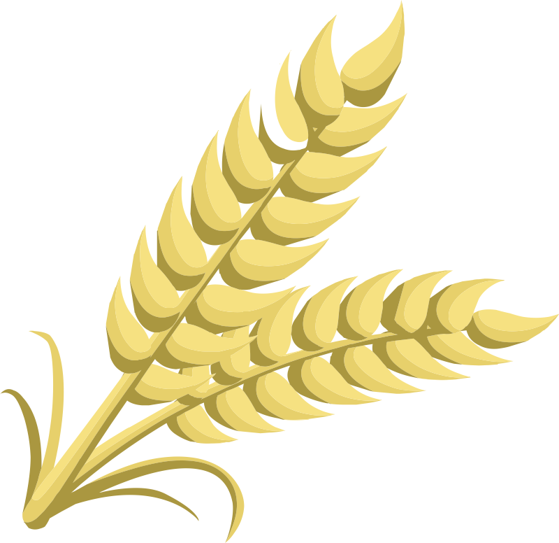 Stalk wheat clipart - Clipground