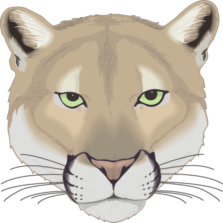 cougar face clipart - Clipground