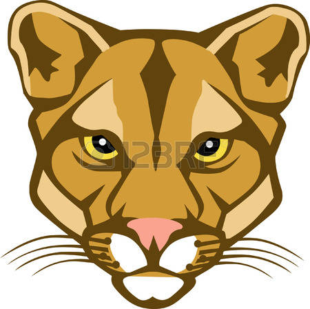 cougar face clipart - Clipground