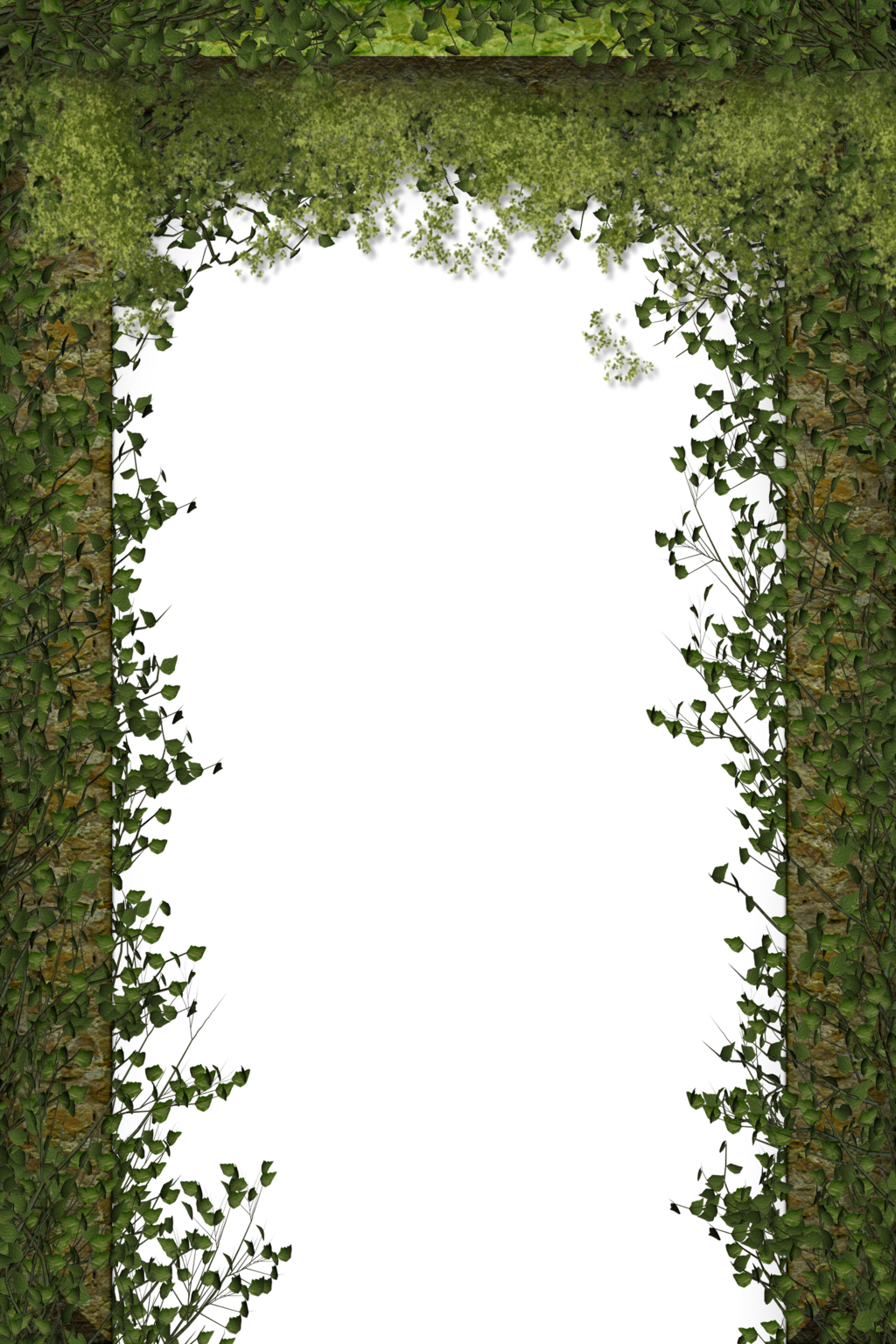 Creeping plant clipart - Clipground