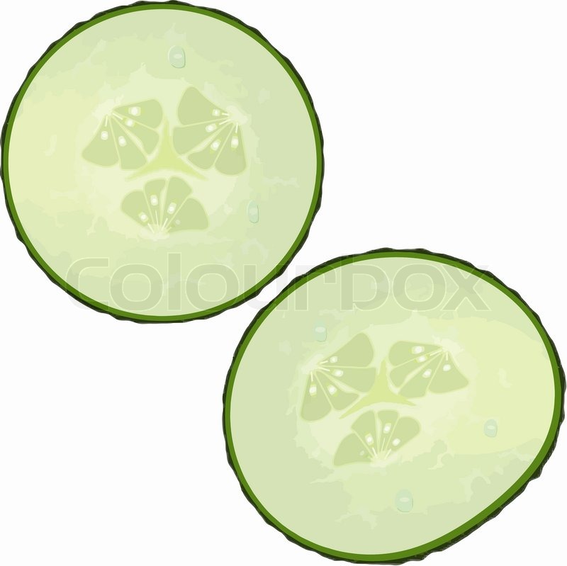 Cucumber slices clipart - Clipground