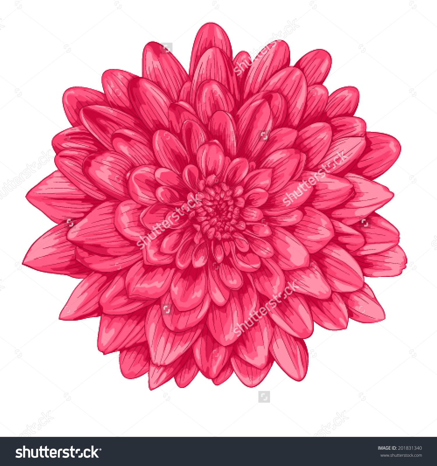 clip art dahlia flowers - photo #43