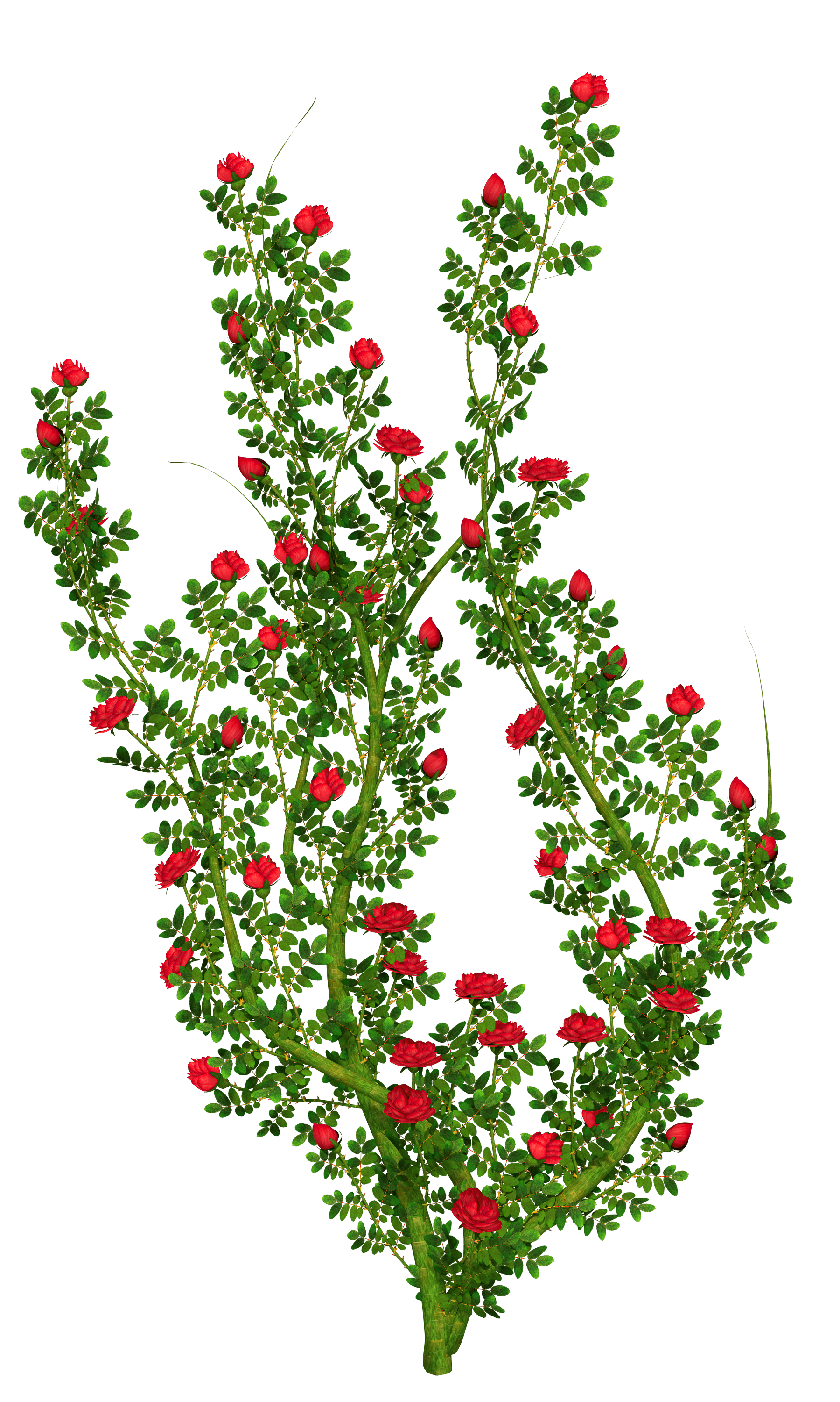 Decorative bush clipart - Clipground