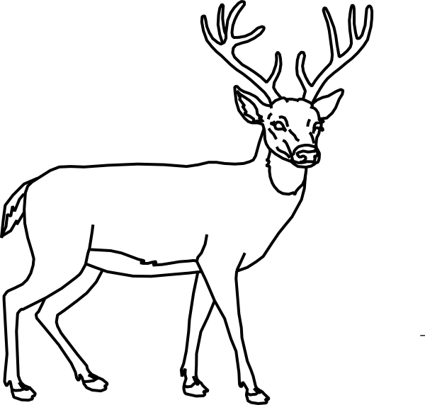 free clip art black and white deer - photo #16