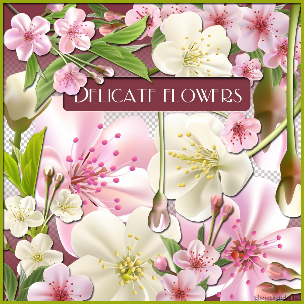 clipart delicate flowers - photo #12