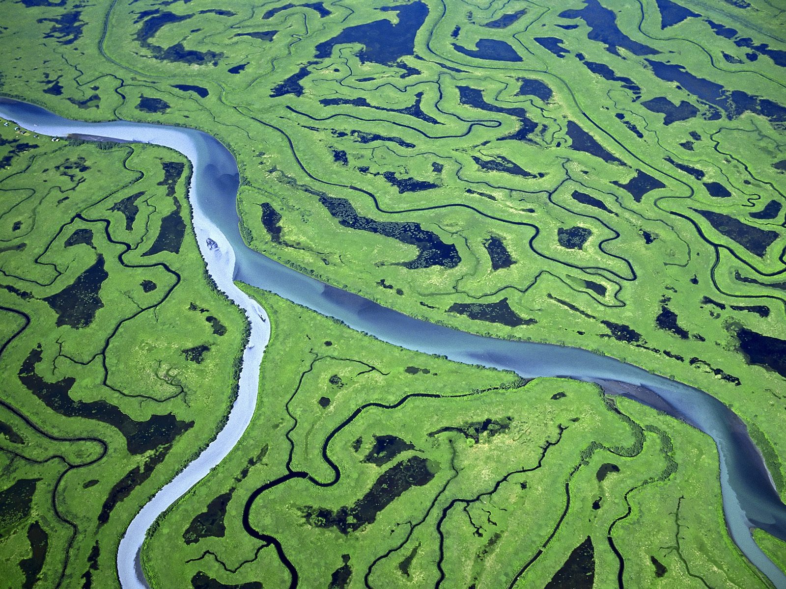 landform River delta