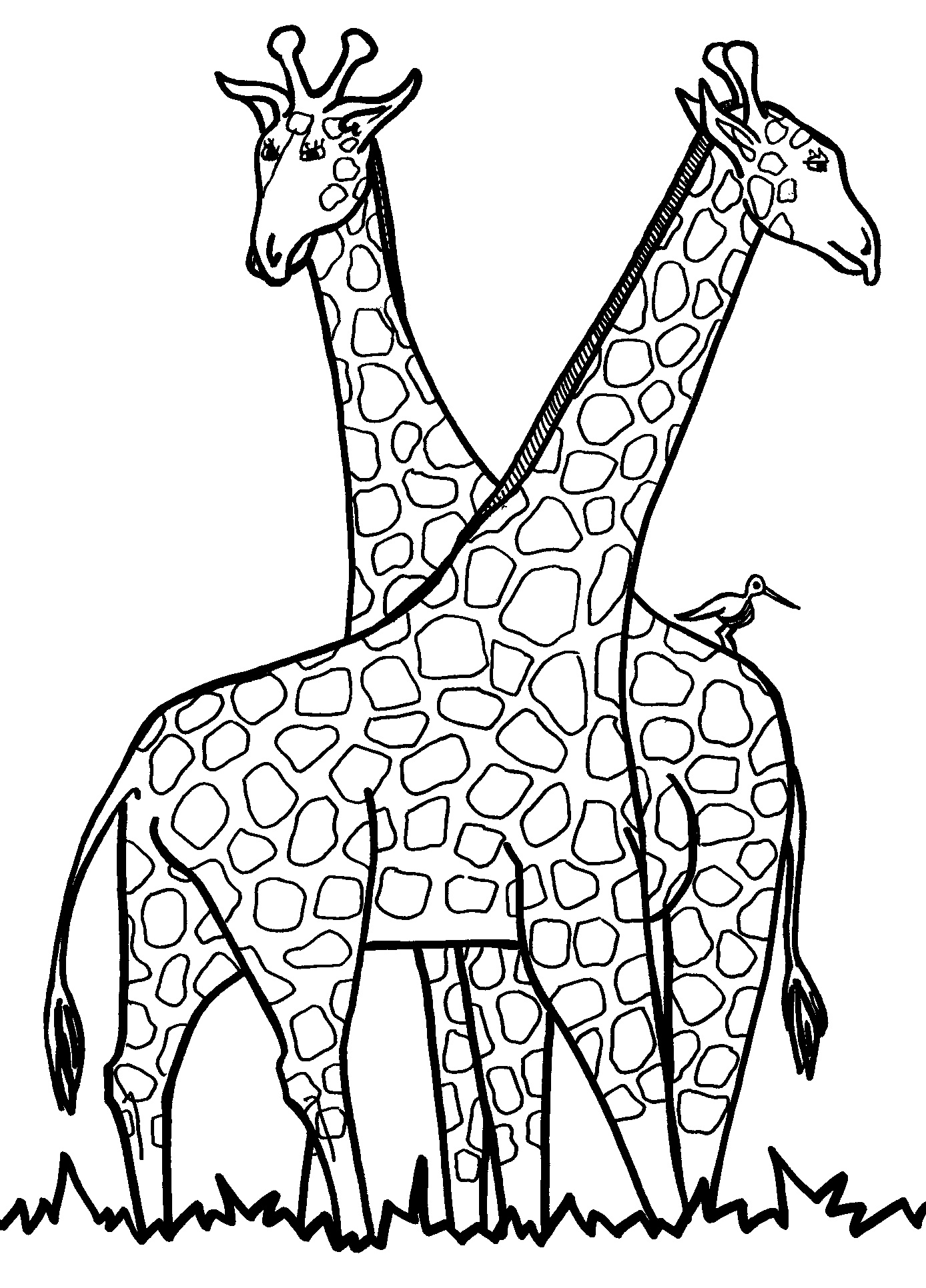 disney giraffe black and white clipart - Clipground
