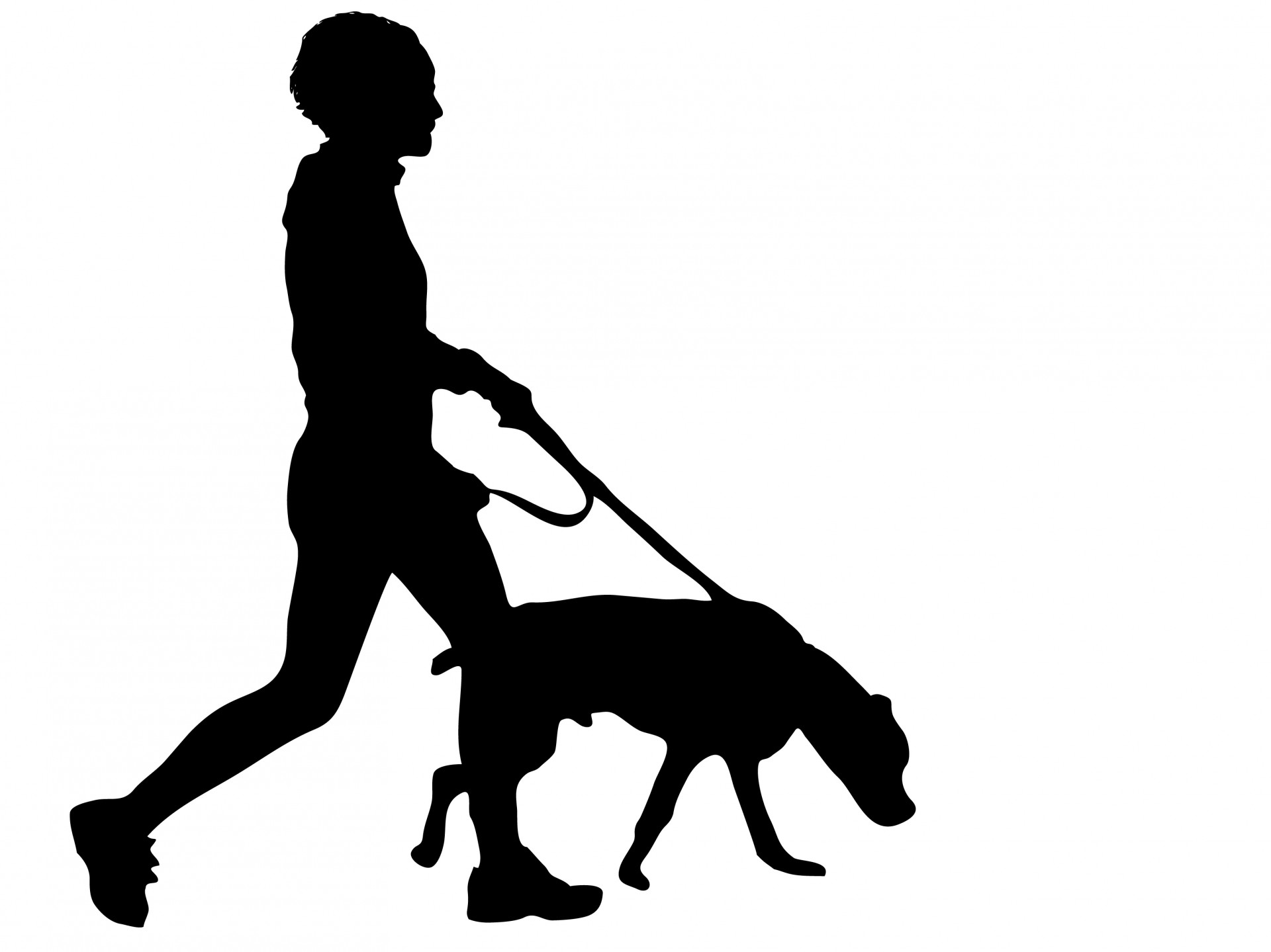 free clipart woman walking dog - photo #49