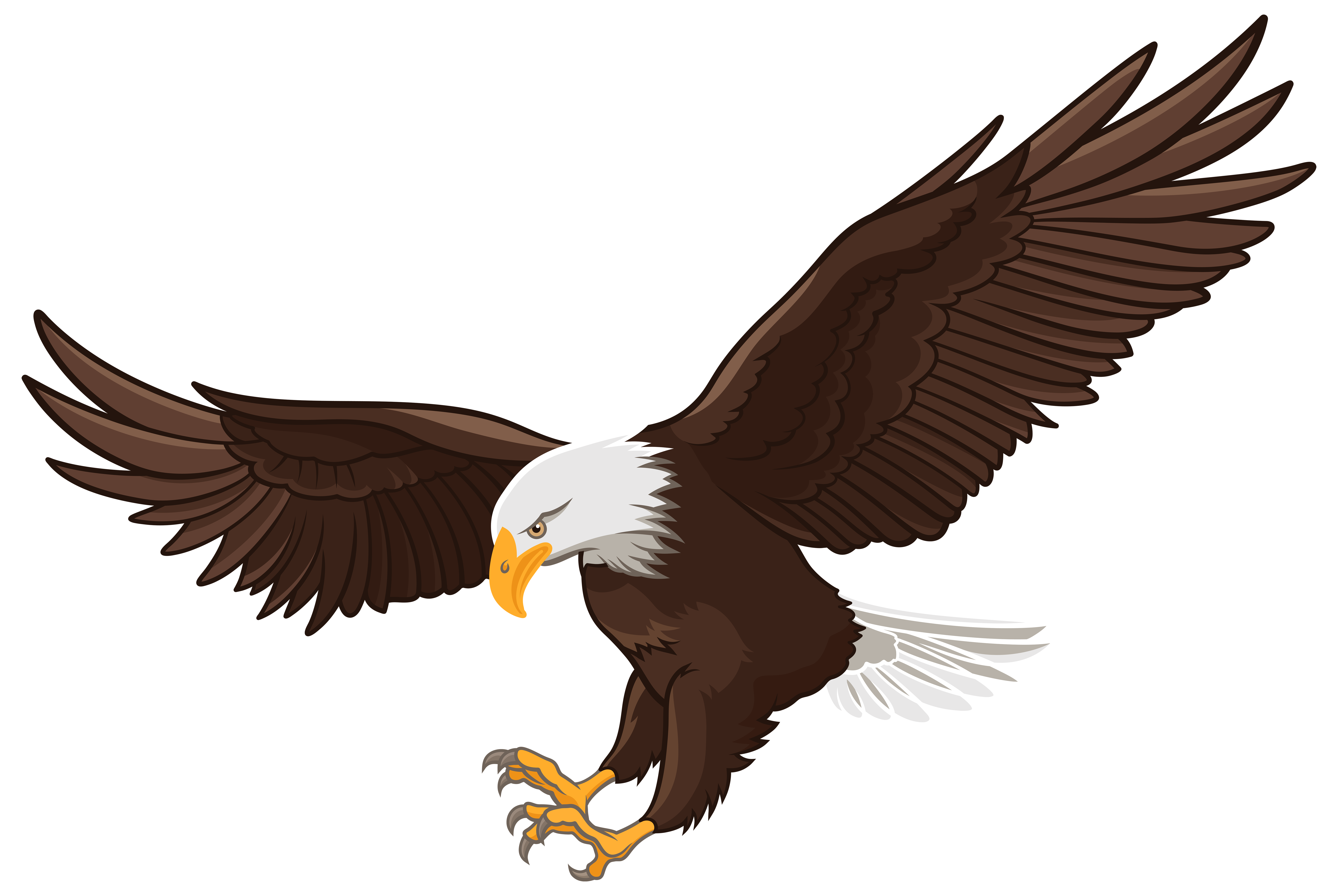 free bald eagle clip art - photo #1