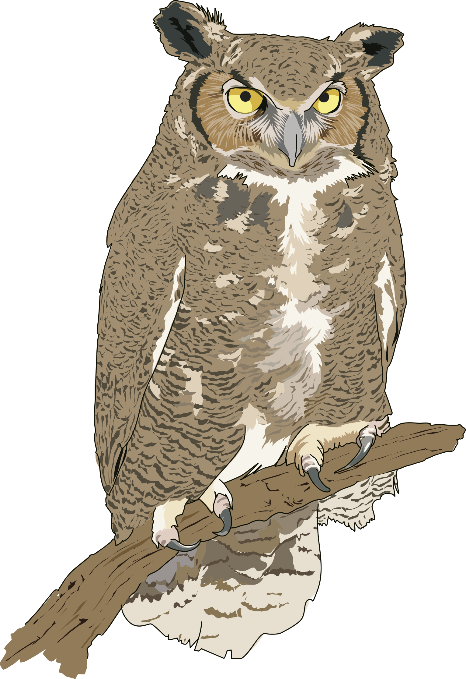 Eagle owl clipart - Clipground