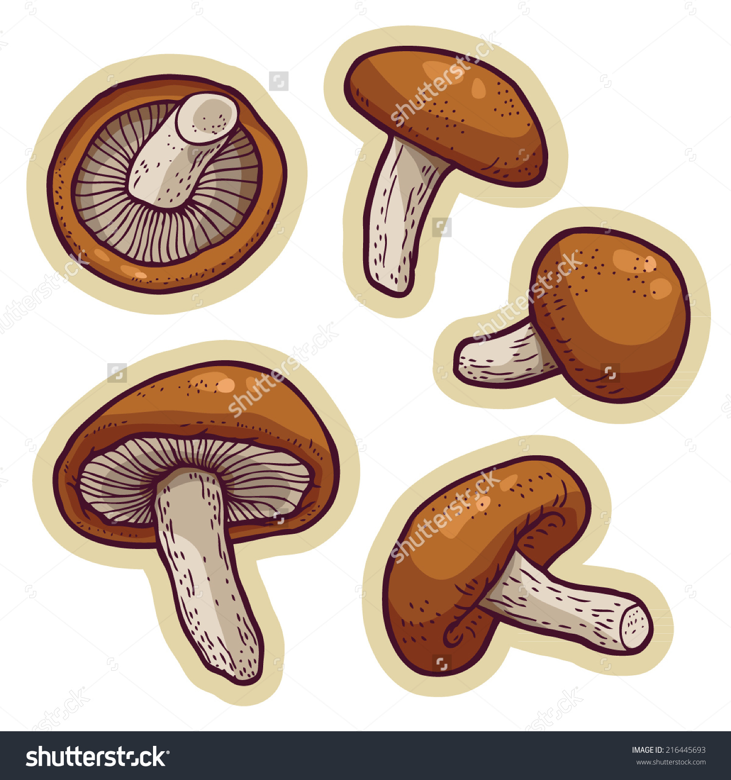 oyster mushroom clip art - photo #21