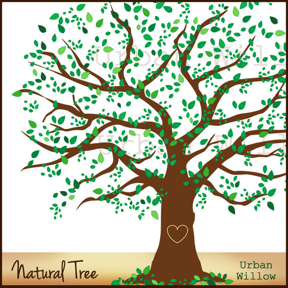 free clipart elm tree - photo #50