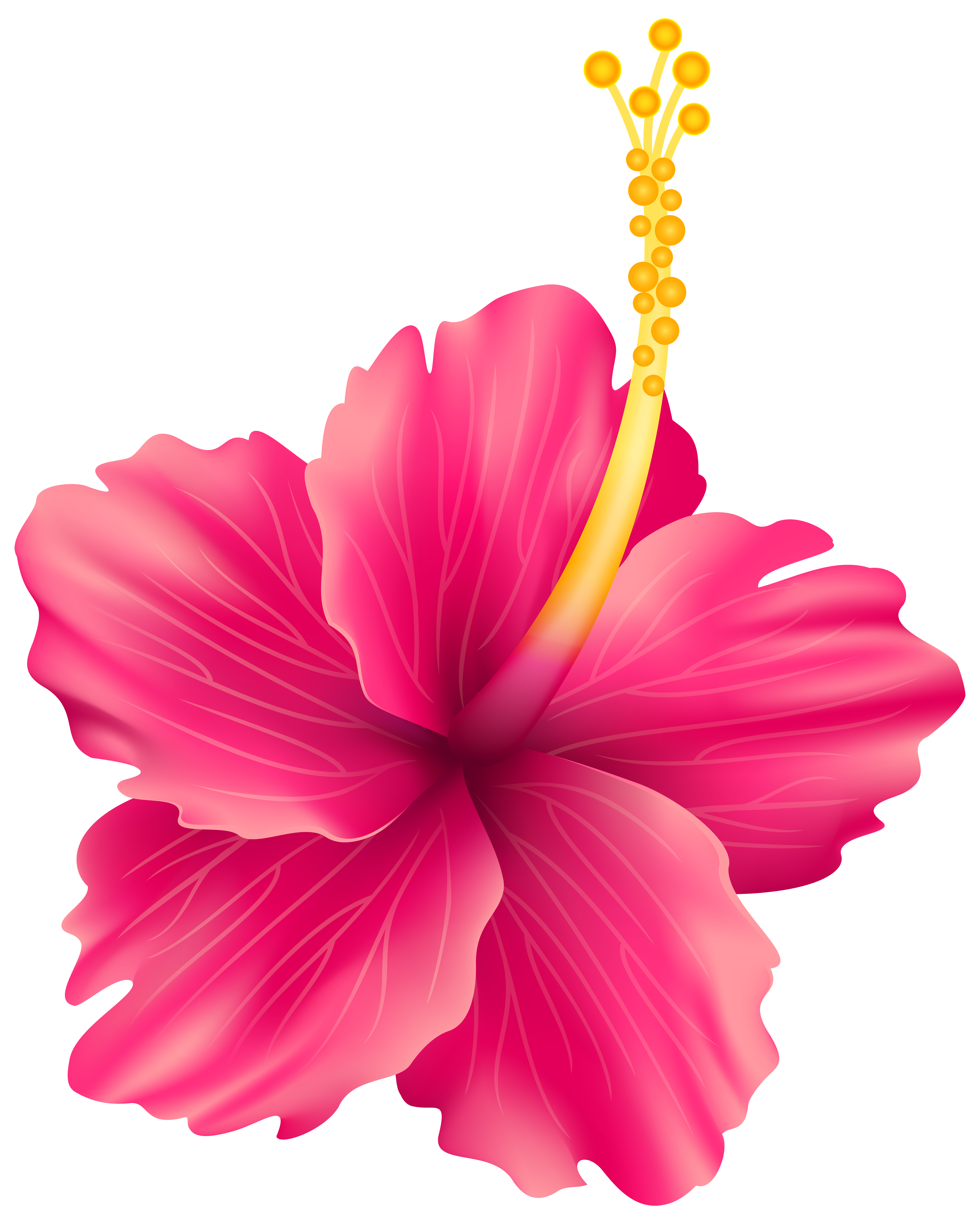clipart flower png - photo #46