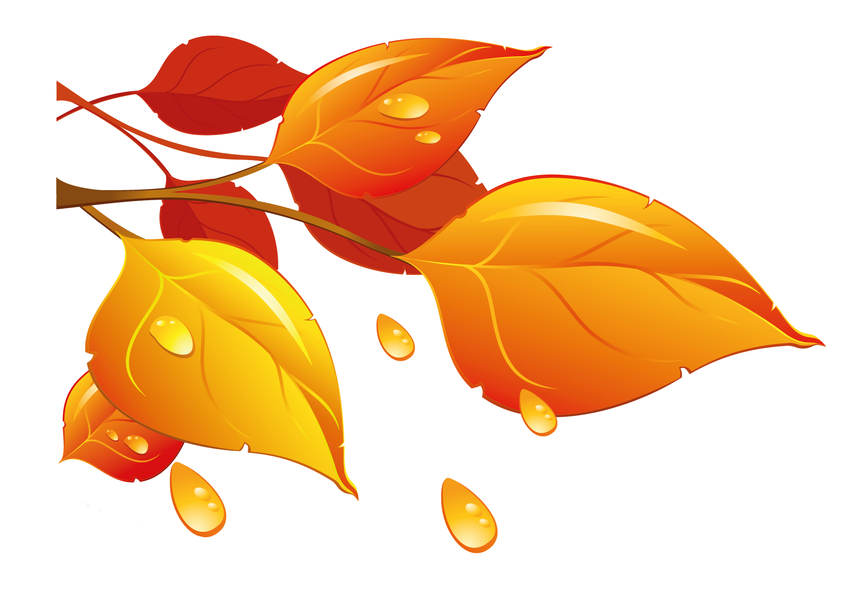 leaf clipart with transparent background - Clipground