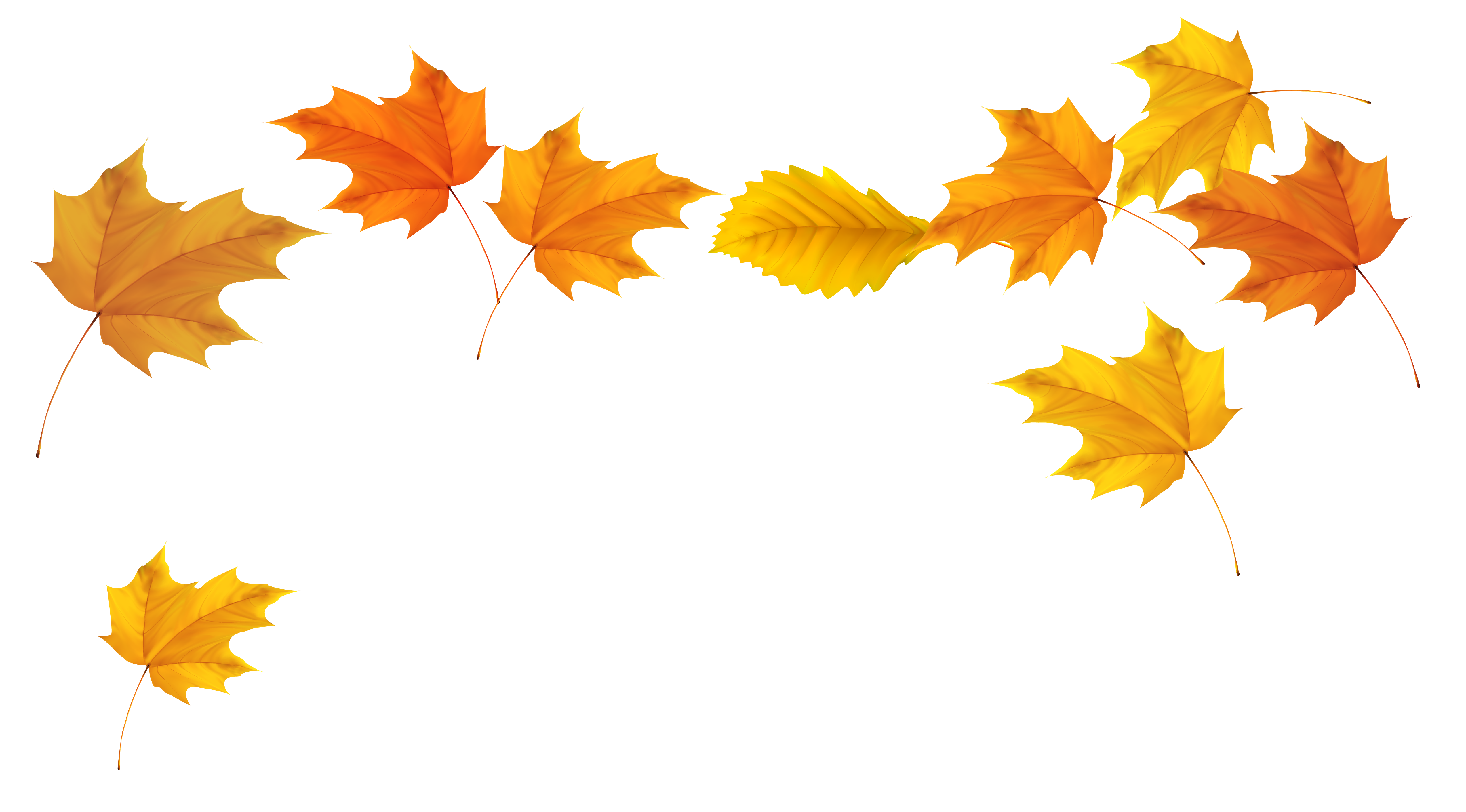 fall leaves clipart border - Clipground