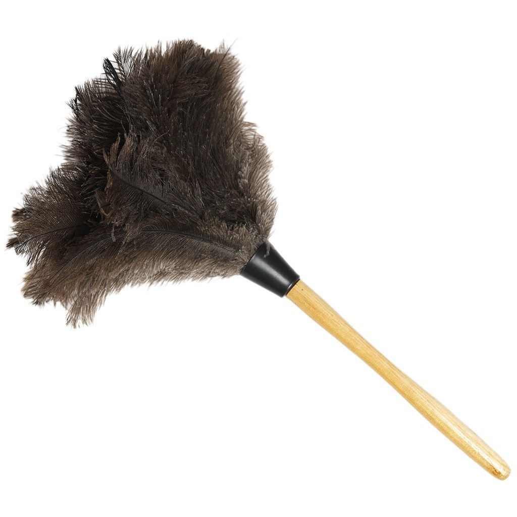 Feather duster clipart Clipground