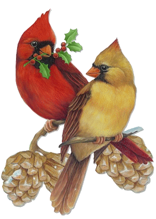 Male cardinal clipart - Clipground