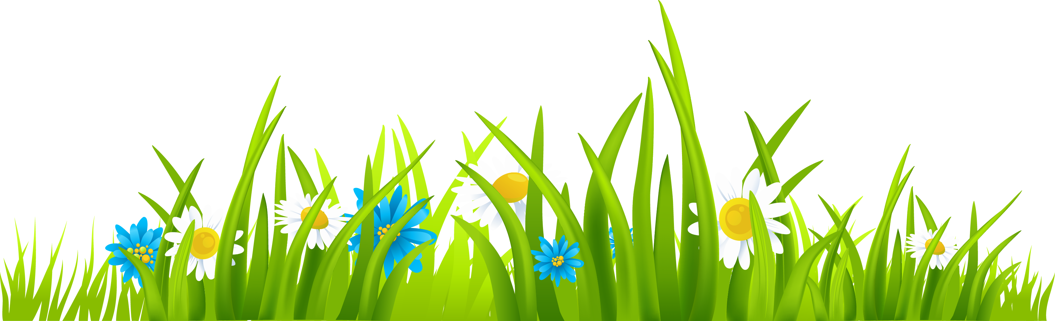 Green grass clipart - Clipground