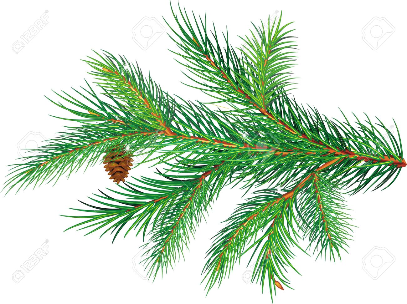 fir tree clipart - photo #27