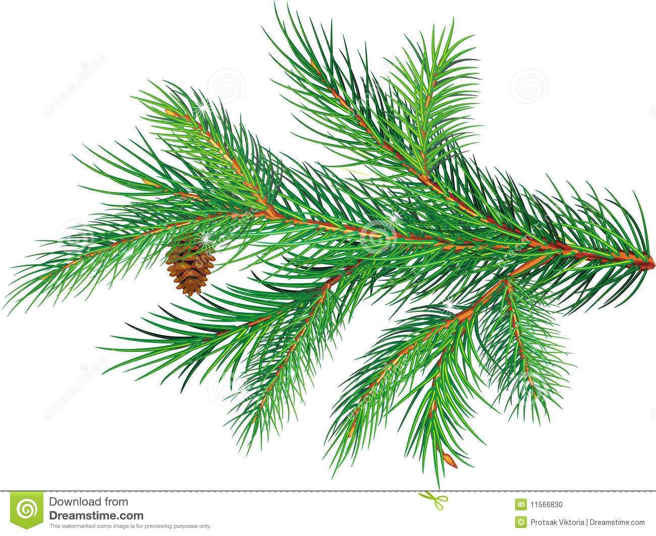 Fir needles clipart - Clipground