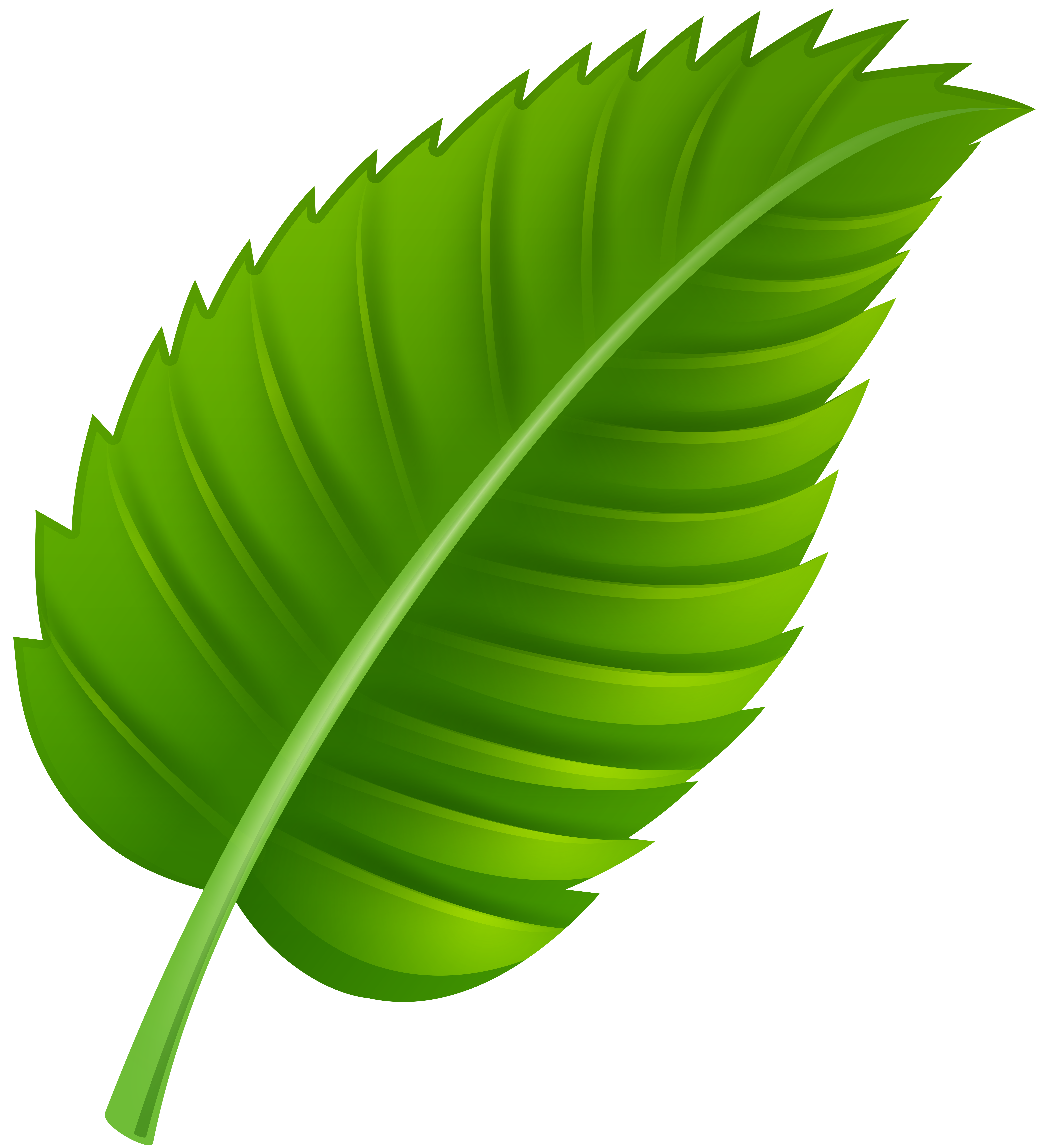free clipart green leaf - photo #16