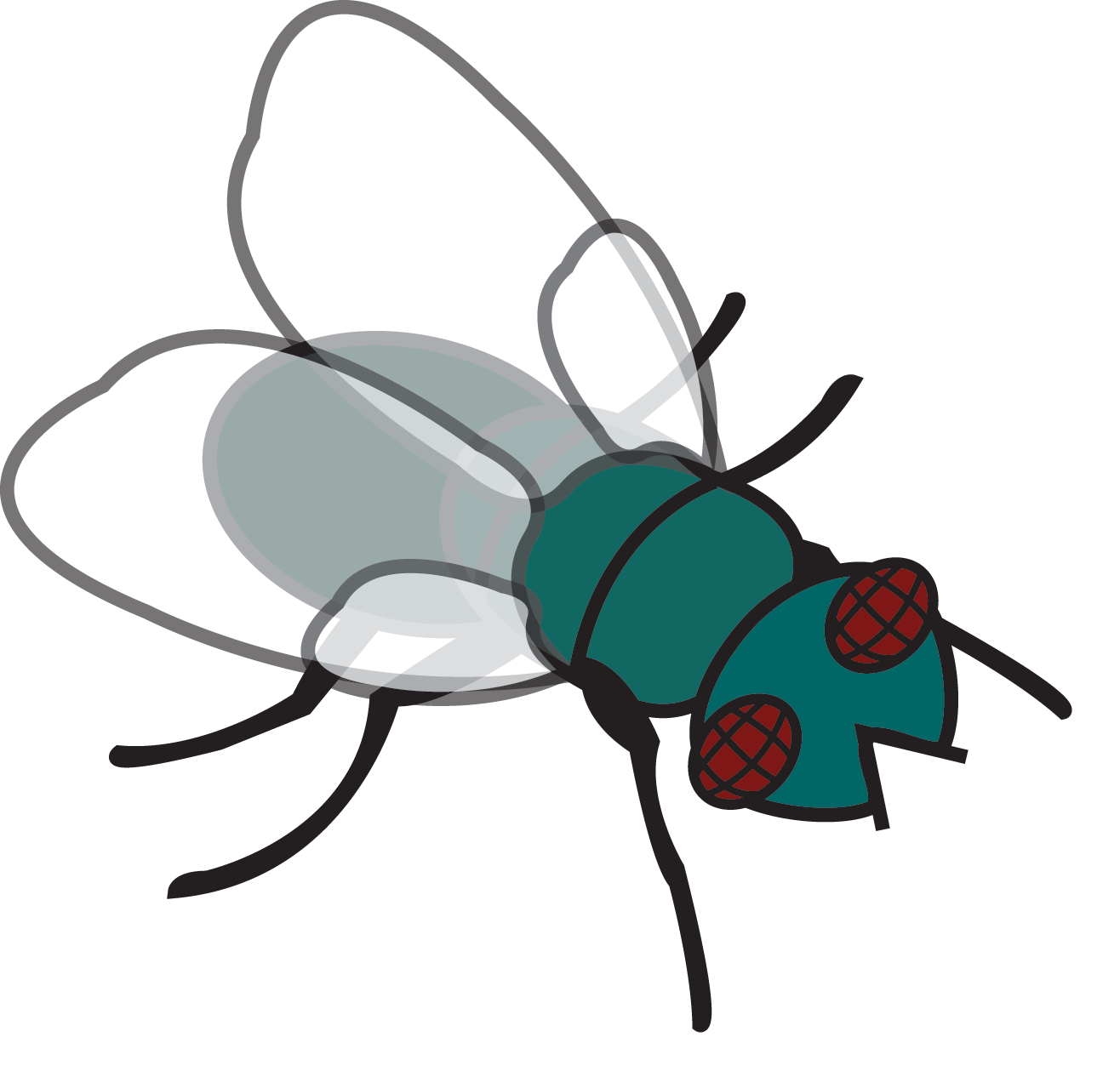 fly insect clipart - photo #10