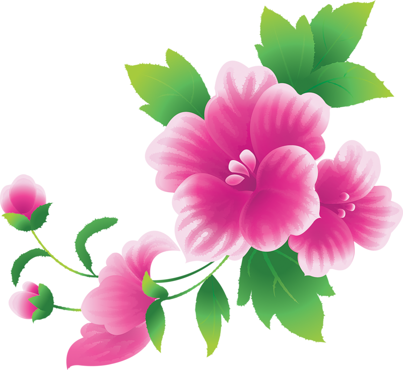 pink flower clipart free - Clipground