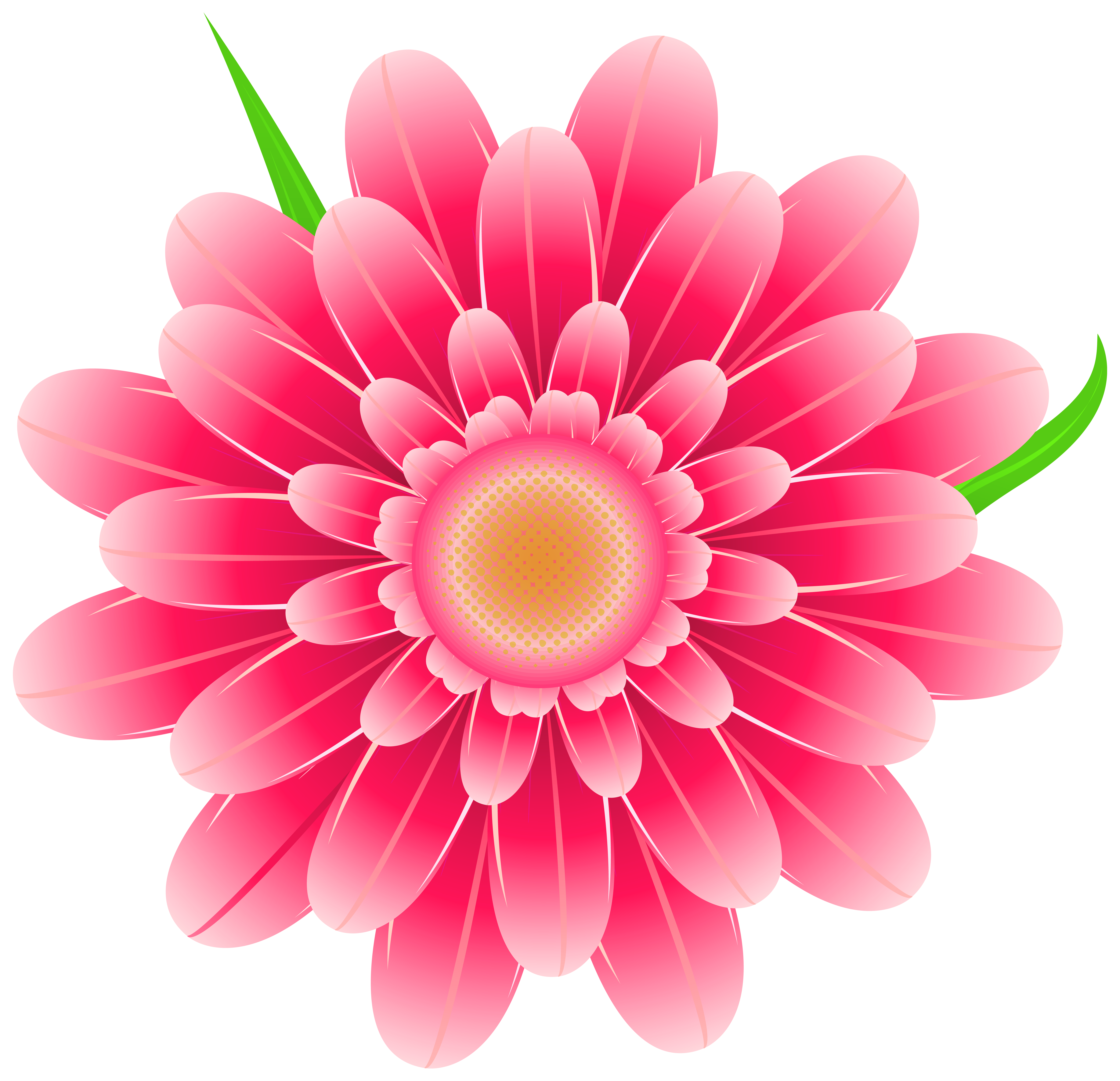 Pink flowers clipart - Clipground