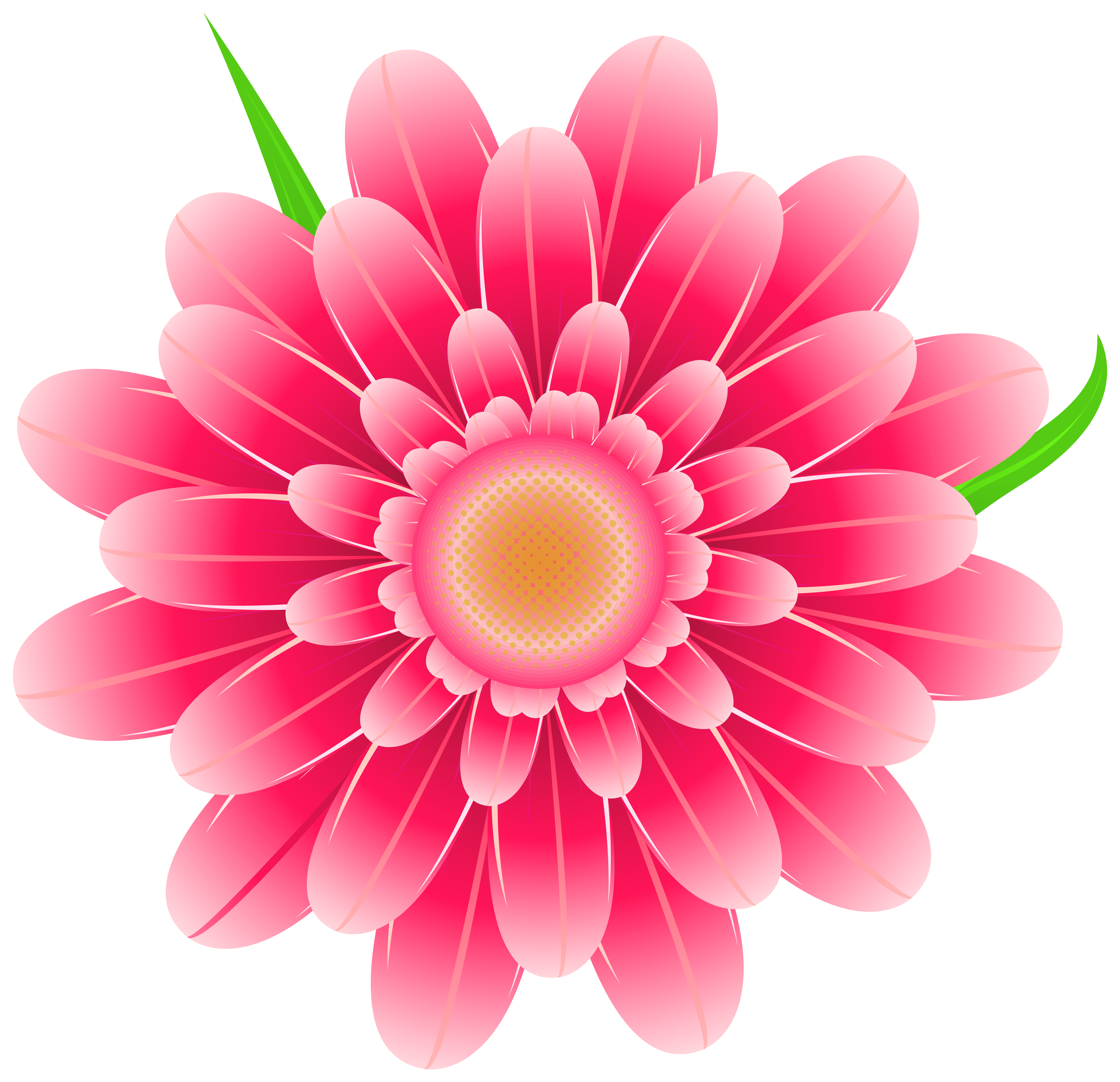 Get Free Floral Clipart PNG Alade