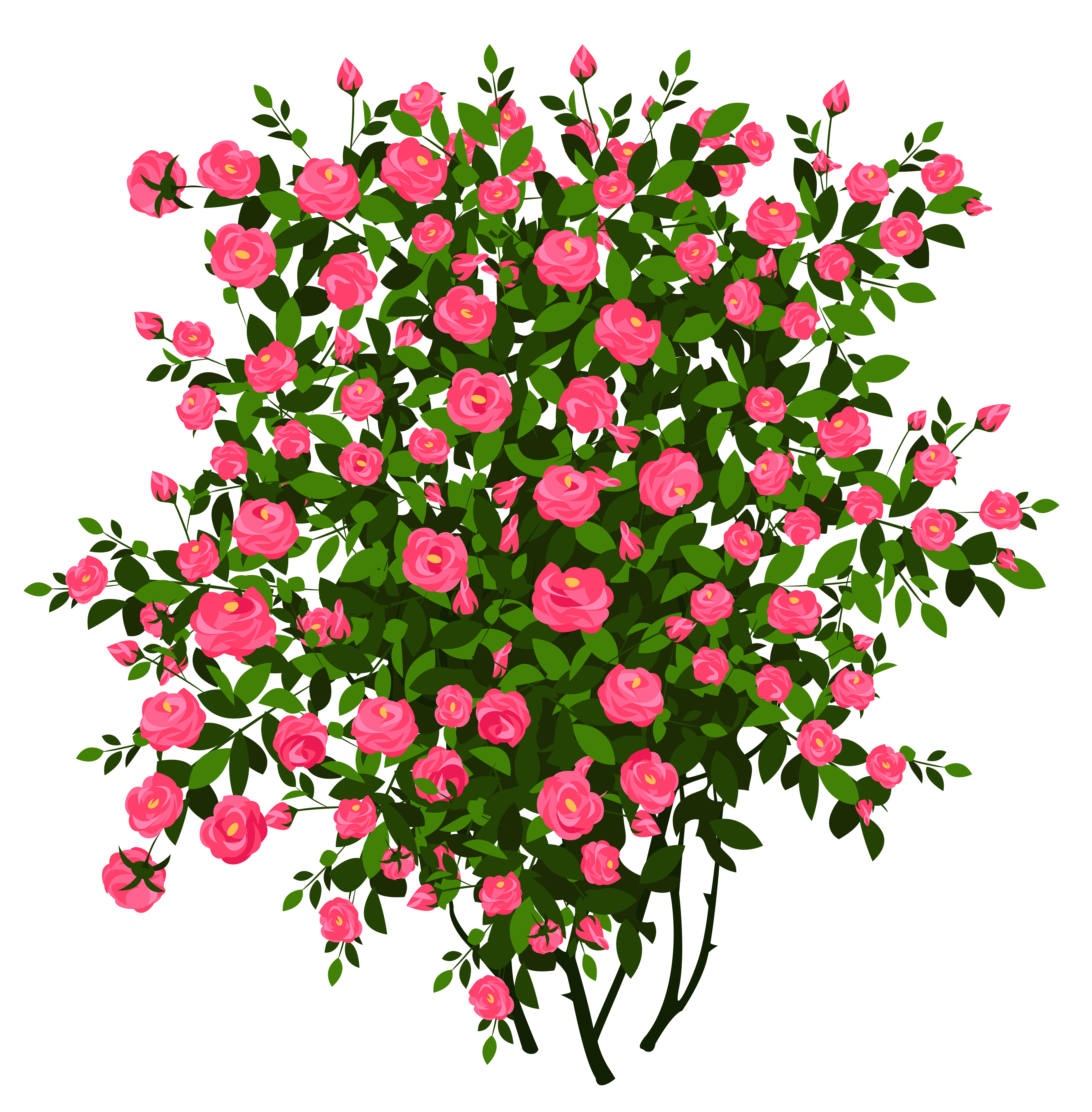 clipart of rose plant - photo #9