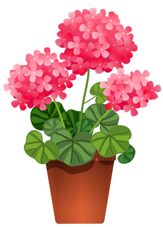 Flowers and plants clipart - Clipground