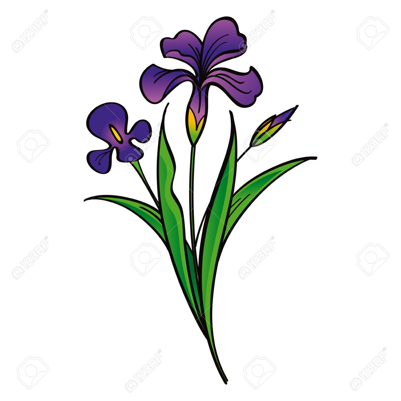 clipart iris flower - photo #41