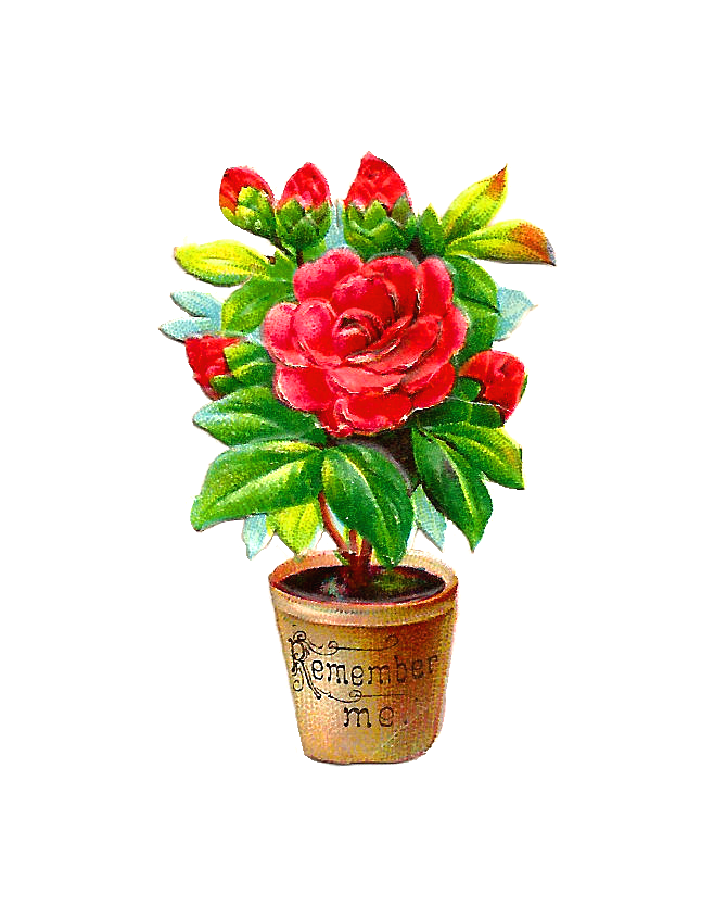 Flowers in pots clipart - Clipground